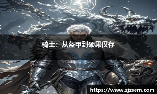 骑士：从盔甲到硕果仅存